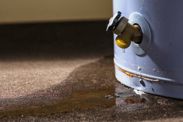 Best Mold removal after water damage  in Lacon, IL