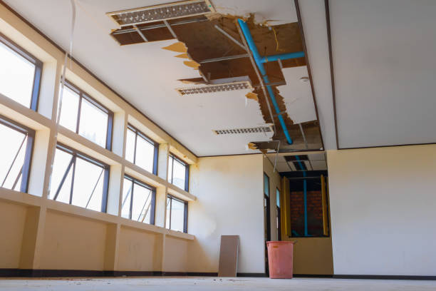 Best Water damage repair service  in Lacon, IL