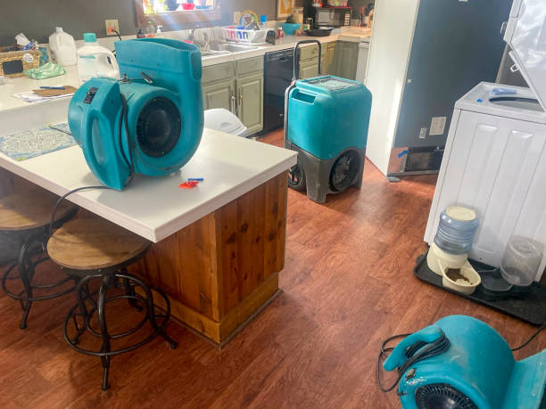 Best Local water damage restoration  in Lacon, IL