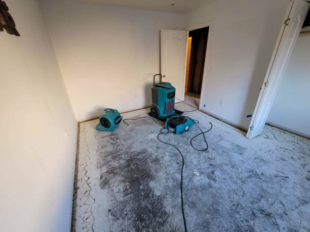 Best Water damage restoration near me  in Lacon, IL
