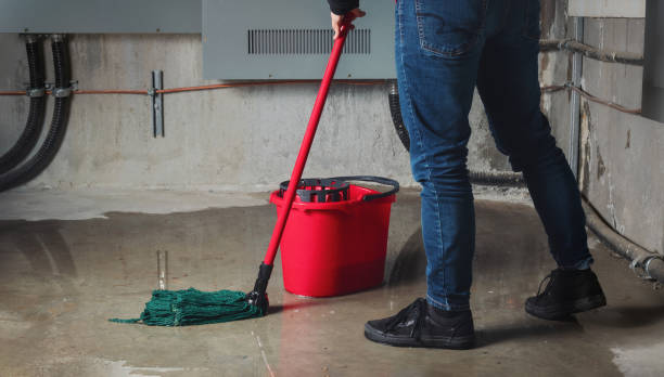 Best Emergency water damage restoration  in Lacon, IL