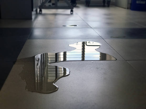 Best Professional water damage repair  in Lacon, IL