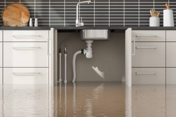 Best Water damage contractors near me  in Lacon, IL