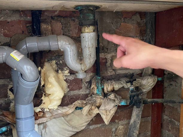 Best Water damage restoration near me  in Lacon, IL