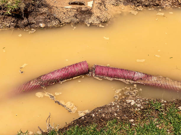 Best Residential water damage restoration  in Lacon, IL