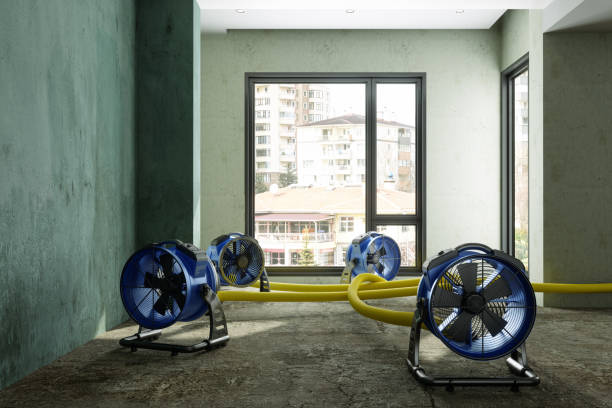 Best Fire Damage Restoration  in Lacon, IL
