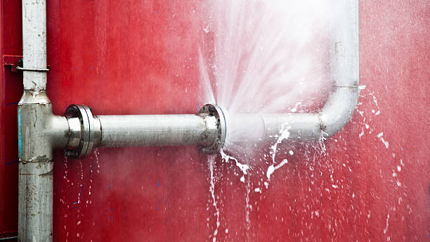 Best 24/7 water damage repair  in Lacon, IL